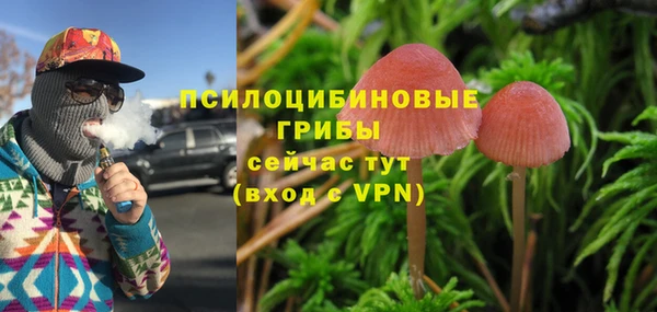марки lsd Лагань