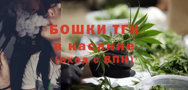 ГАЛЛЮЦИНОГЕННЫЕ ГРИБЫ Ладушкин