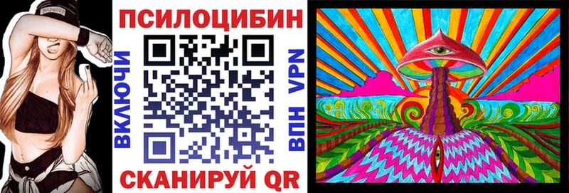 Купить где  Кодинск  Псилоцибиновые грибы Psilocybine cubensis 